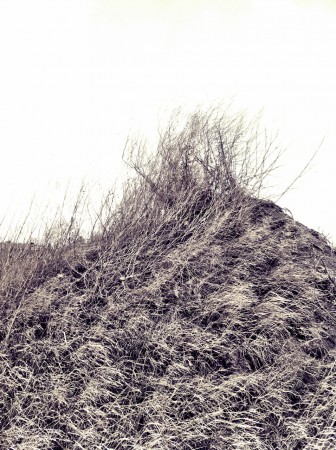 "Struktur"  Fotografie, 2009